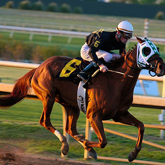one horse per race